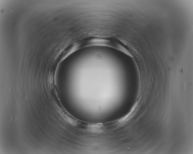 X0000086070192200703301116