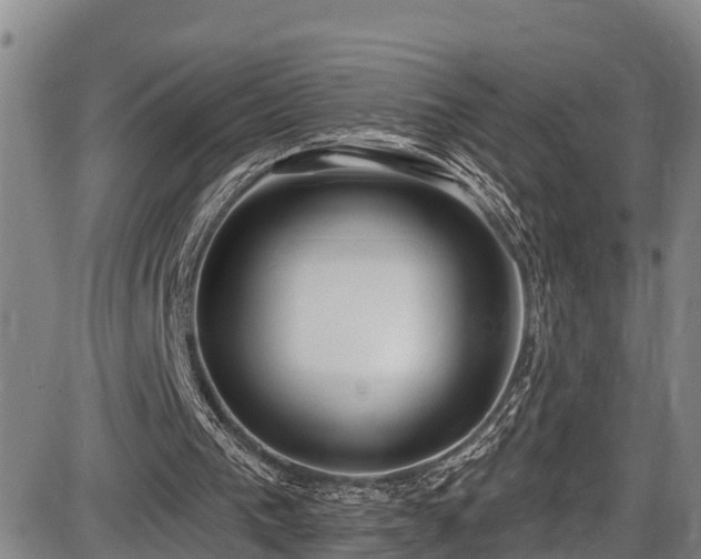 X0000086070193200703301115