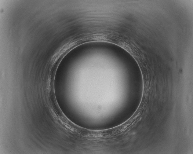 X0000086070194200703301115