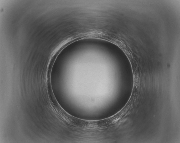 X0000086070196200703301115