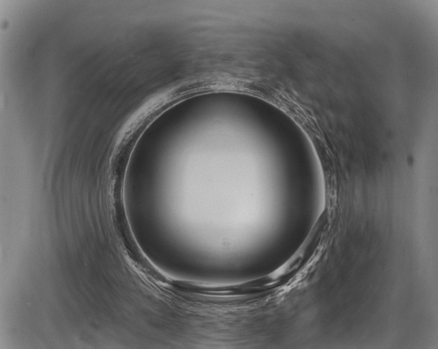 X0000086070197200703301115