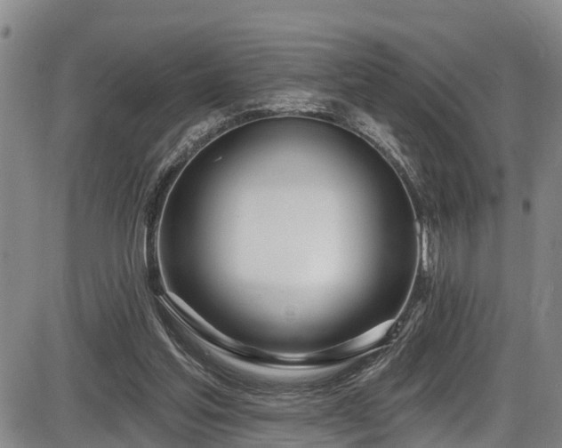 X0000086070205200703301115