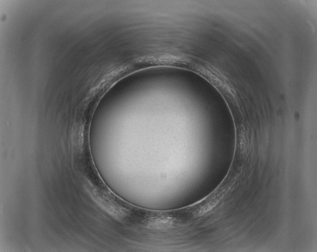 X0000086070206200703301115