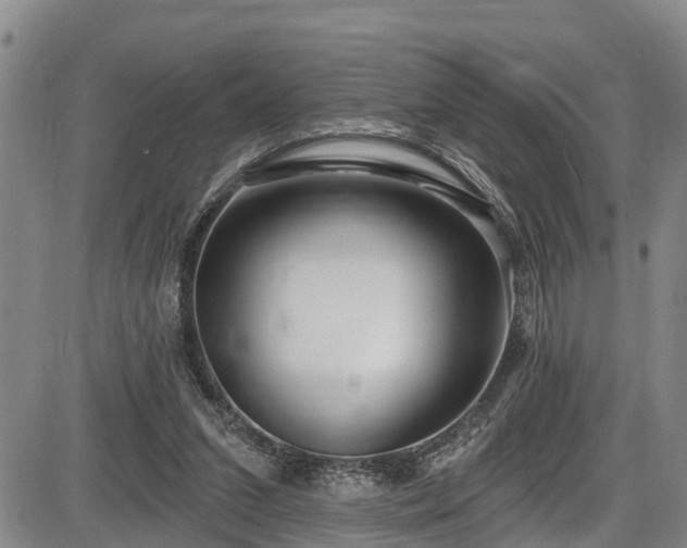 X0000086070207200703301115