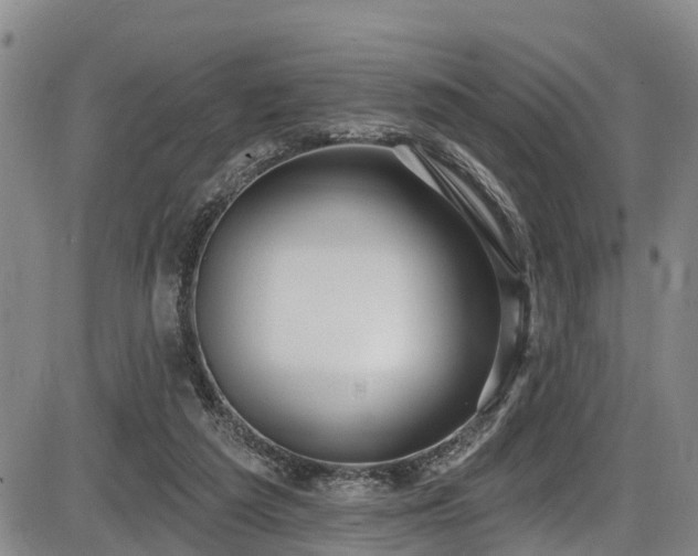 X0000086070209200703301115