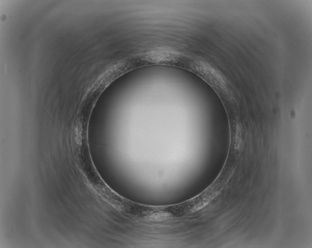 X0000086070210200703301115
