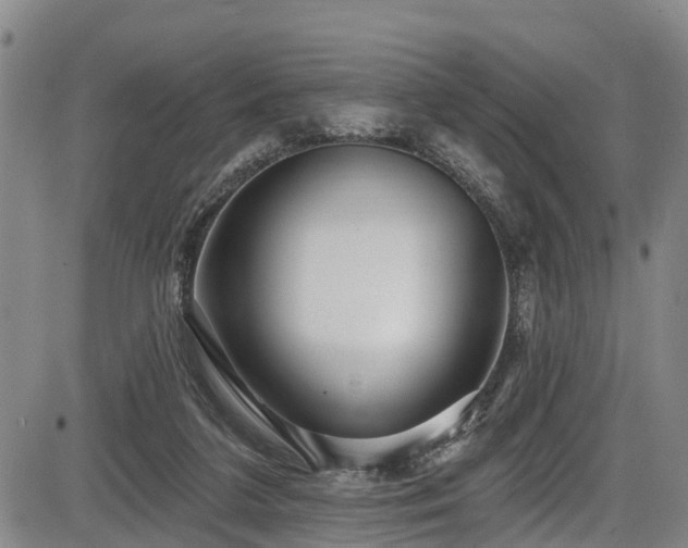 X0000086070211200703301115