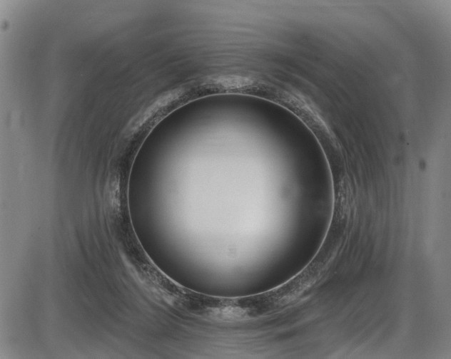 X0000086070212200703301115