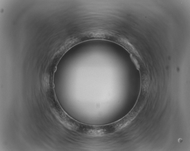 X0000086070213200703301115