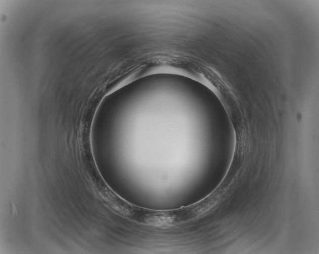 X0000086070217200703301115