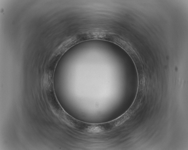 X0000086070218200703301114