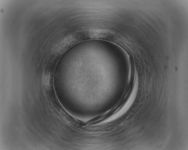 X0000086070219200703301114