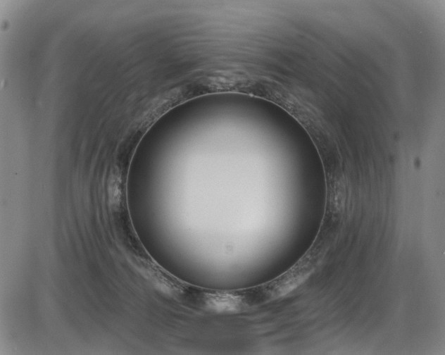 X0000086070226200703301114