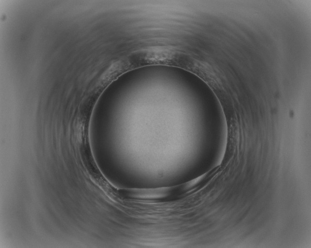 X0000086070227200703301114