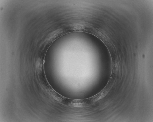 X0000086070228200703301114