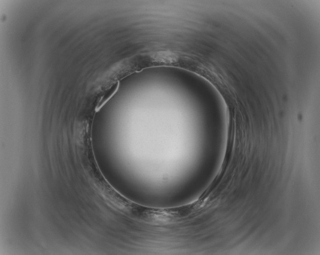 X0000086070229200703301114
