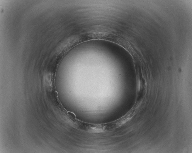 X0000086070232200703301114