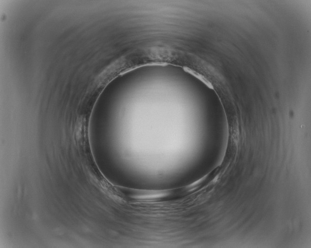 X0000086070233200703301114