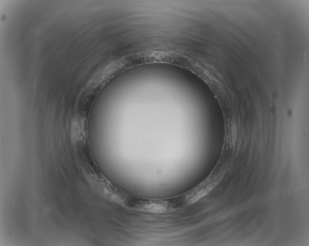 X0000086070236200703301114