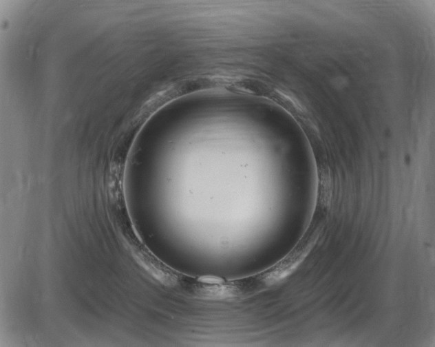 X0000086070237200703301114