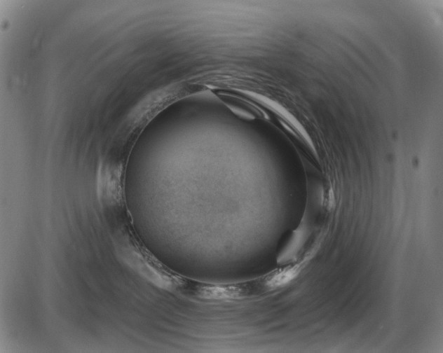 X0000086070239200703301114