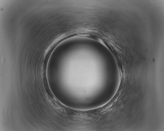X0000086070244200703301113