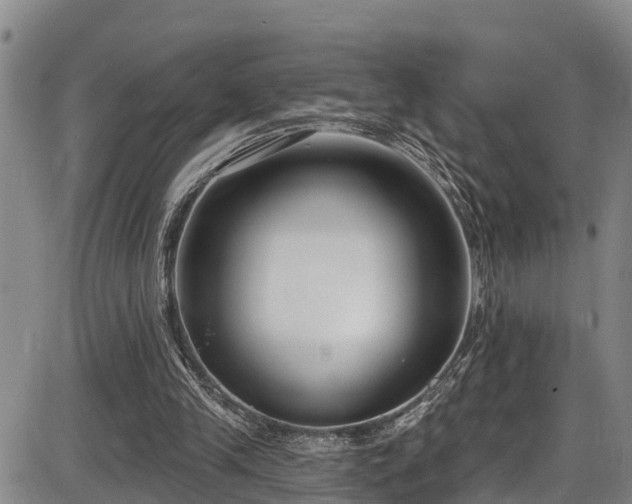 X0000086070245200703301113