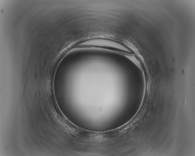 X0000086070249200703301113