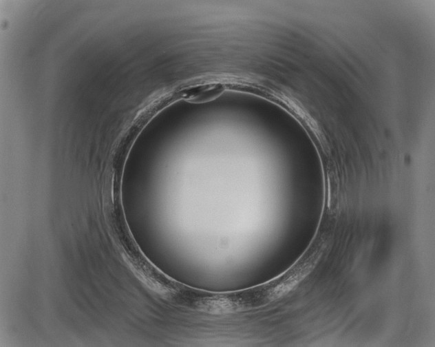 X0000086070253200703301114