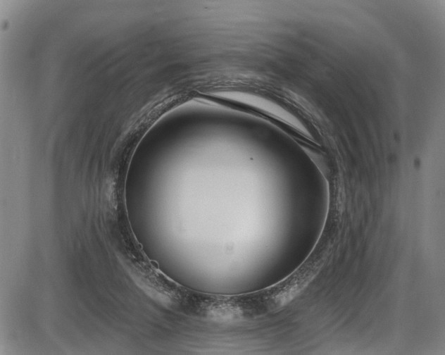 X0000086070258200703301114