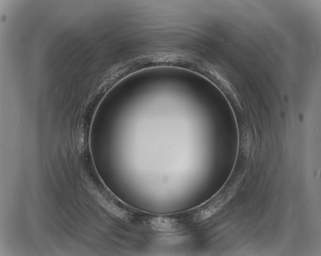 X0000086070261200703301114