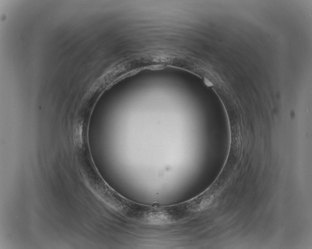 X0000086070262200703301114