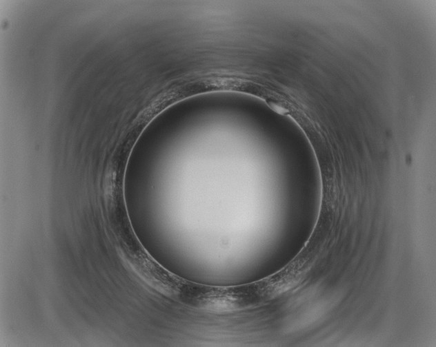 X0000086070263200703301114