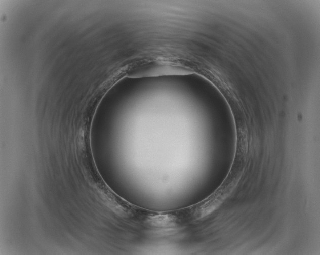 X0000086070269200703301114