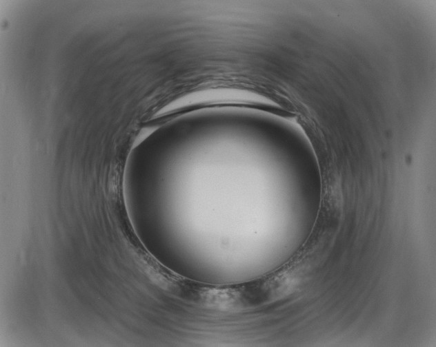 X0000086070277200703301114