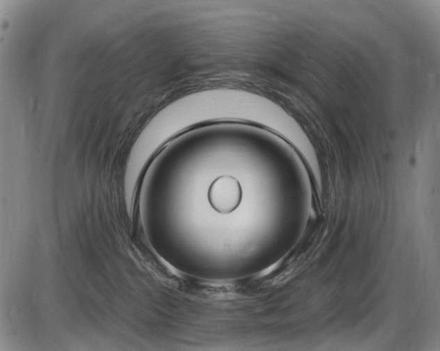 X0000086070284200703301114