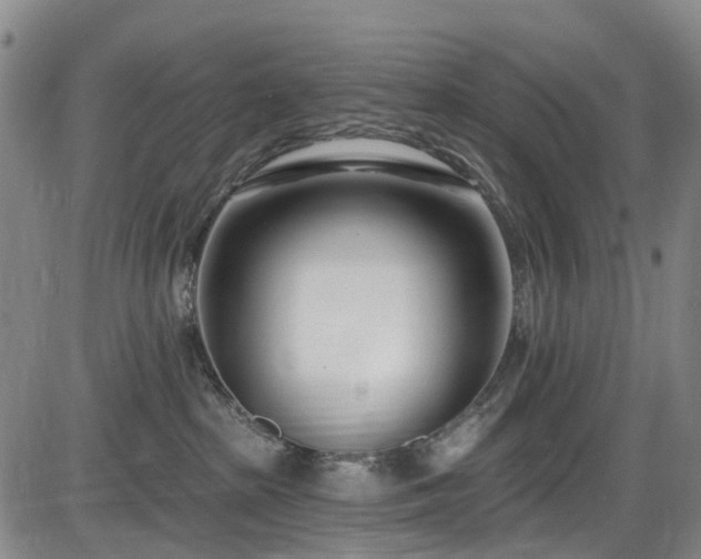X0000086070285200703301114