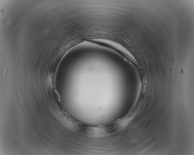 X0000086070286200703301114