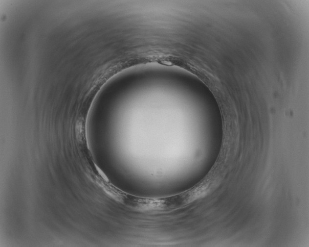 X0000086070288200703301114
