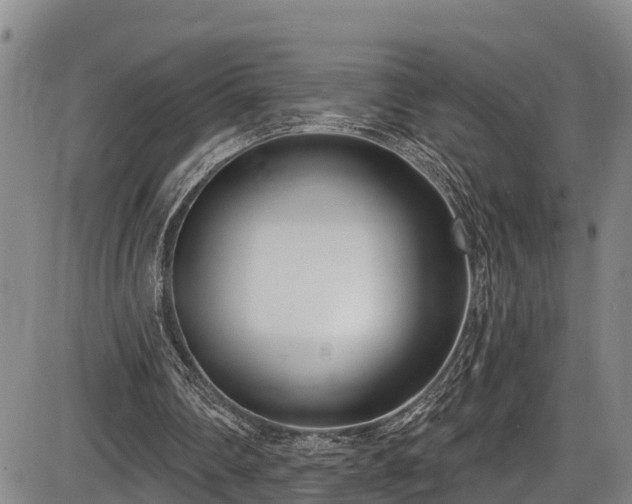 X0000086070290200703301113