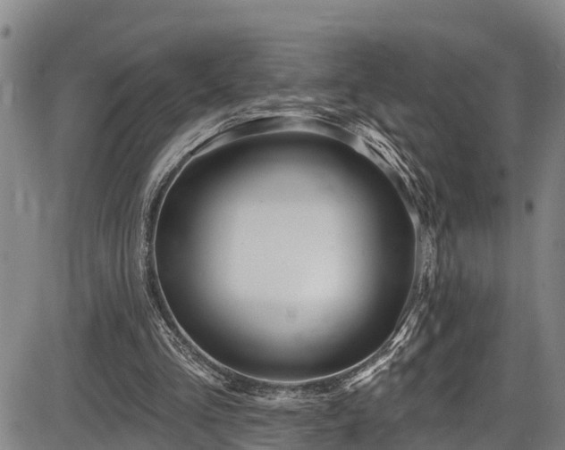 X0000086070293200703301113