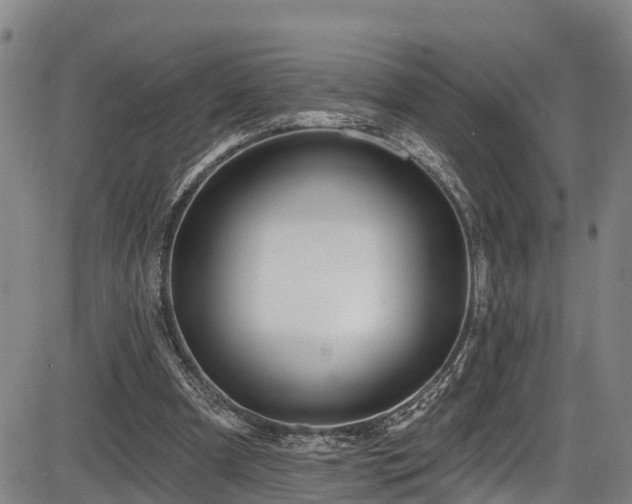 X0000086070297200703301113