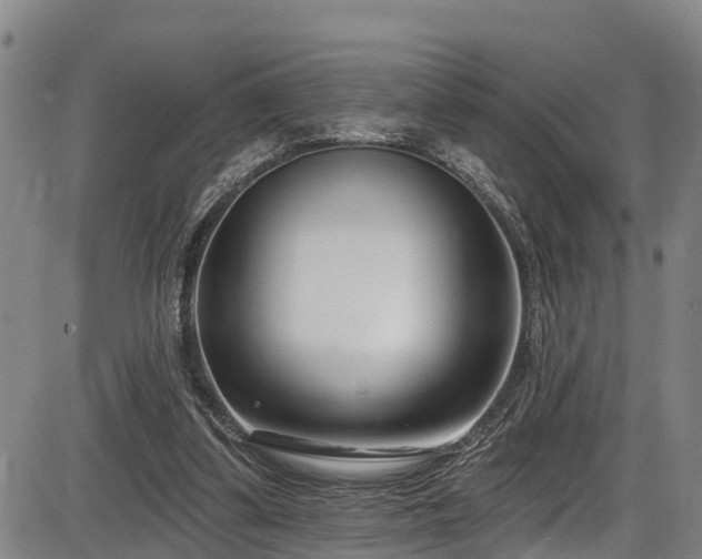 X0000086070299200703301113