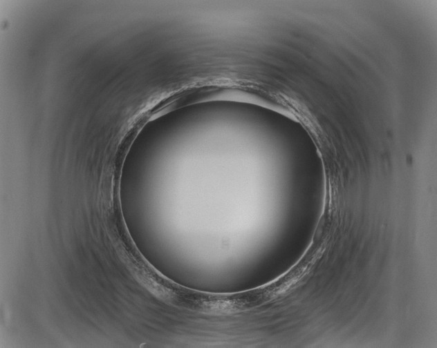X0000086070301200703301113