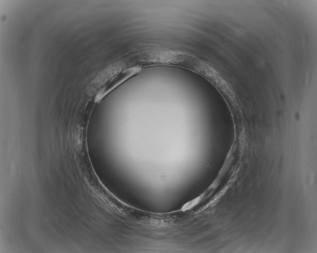 X0000086070305200703301113