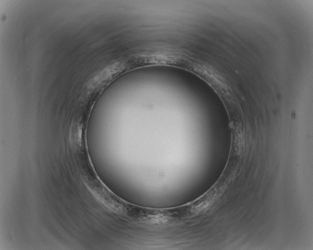 X0000086070310200703301113