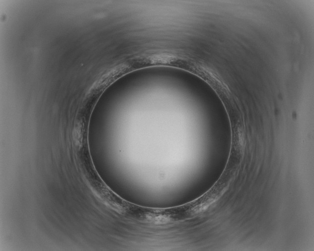 X0000086070311200703301113