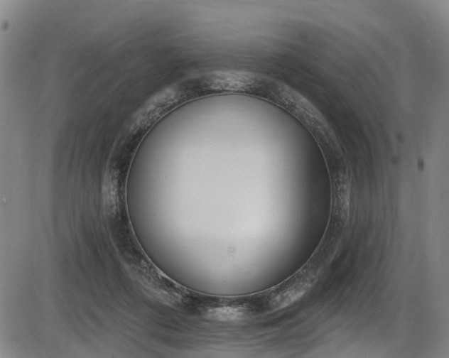 X0000086070312200703301113
