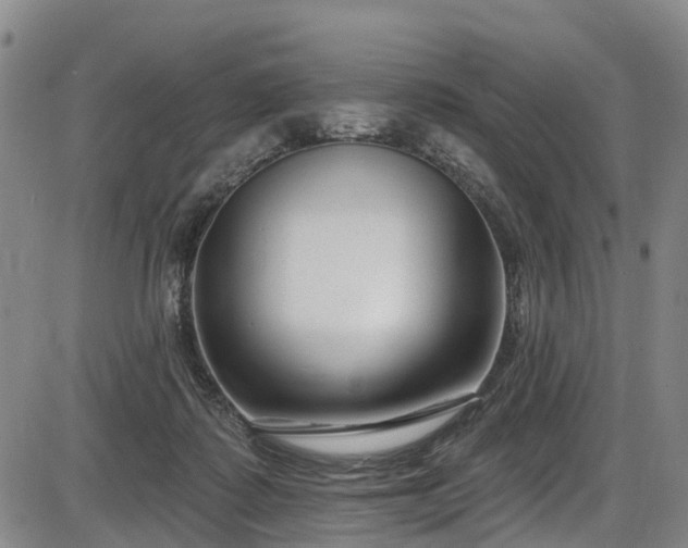 X0000086070315200703301113