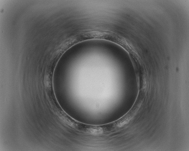 X0000086070317200703301113